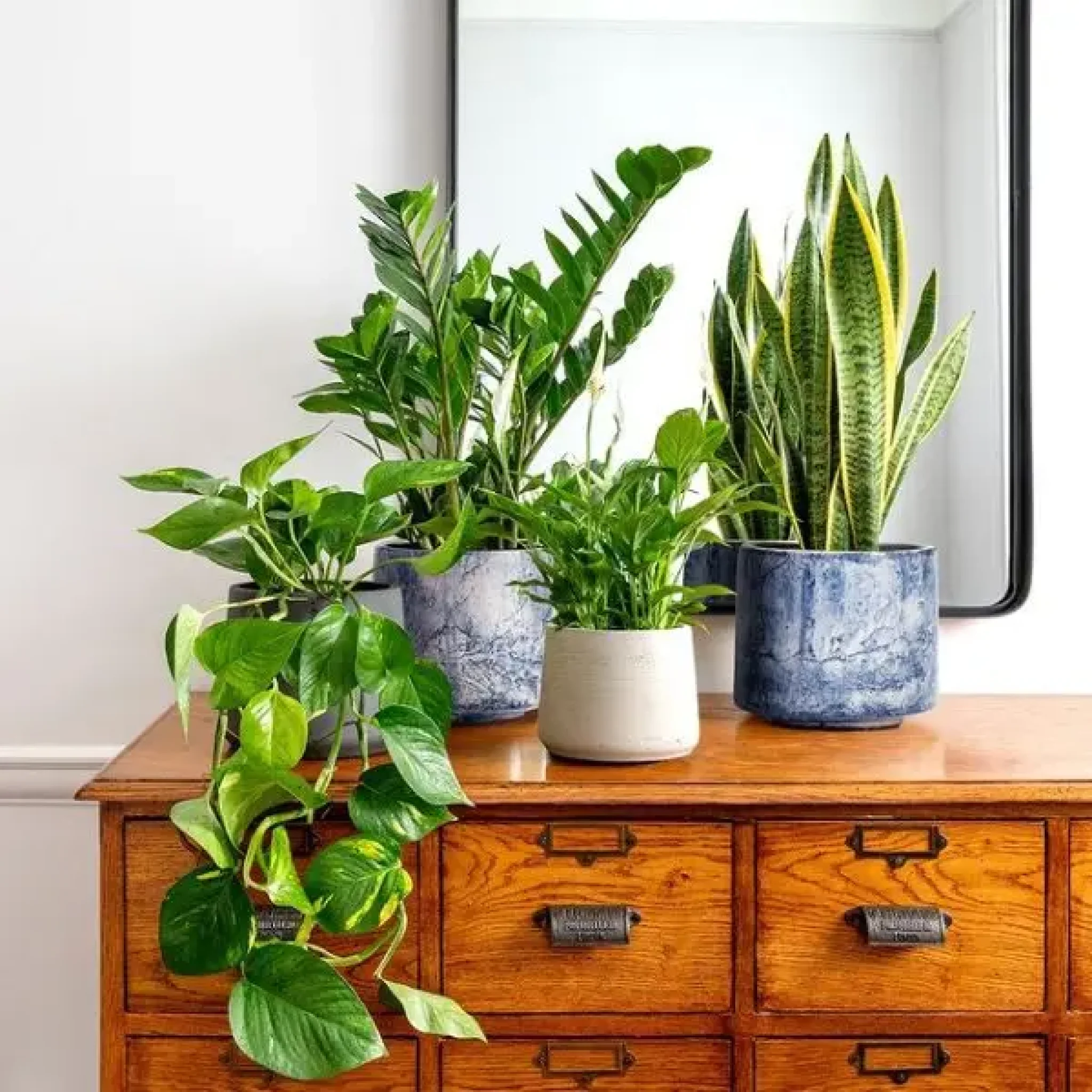 a7246a46e46e9f64055d82d.jpg_600_0_3_fd06